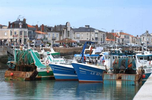 interdiction du chalutage en eaux profondes 