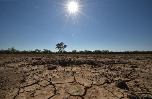 La région de Walgett en Australie, touchée par la sécheresse, le 11 février 2015 © AFP/Archives Peter Parks 