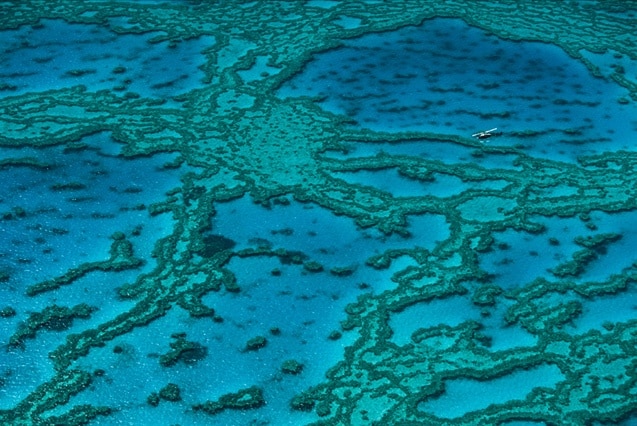 Barrière de corail, Queensland, Australie (17°01’ S - 146°10’ E). © Yann Arthus-Bertrand / Altitude