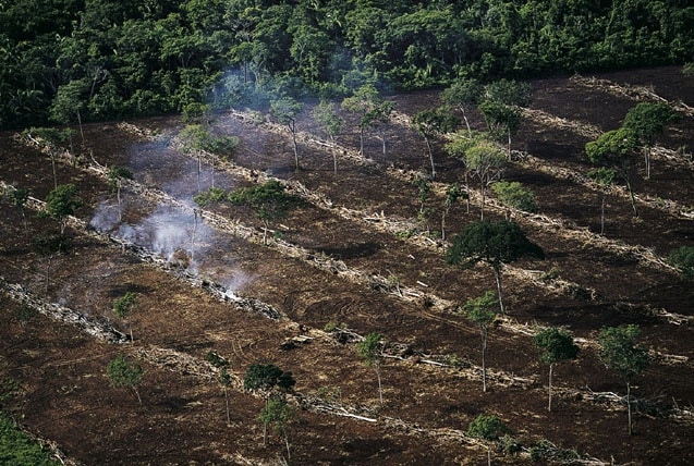 Déforestation en Amazonie, Mato Grosso, Brésil (12°38’ S - 60°12’ O). #0169 Yann Arthus Bertrand/Altitude