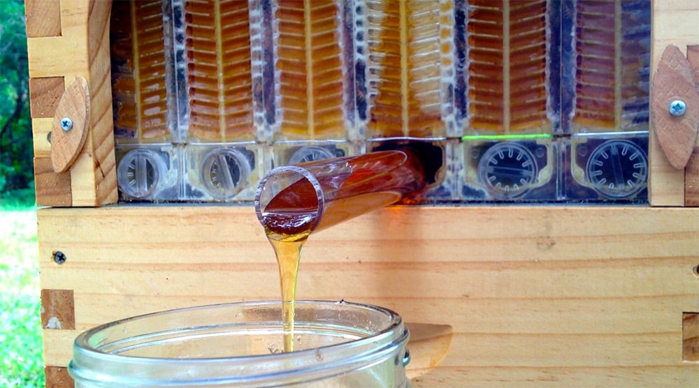 Robinets d'extraction de miel pour apiculture,orange