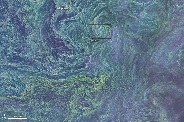 Marée verte au large de la Lettonie Image : NASA Earth Observatory 11 aout 2015