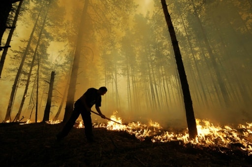 feux de forêts
