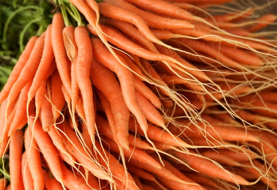 Close-up of a heap of carrot