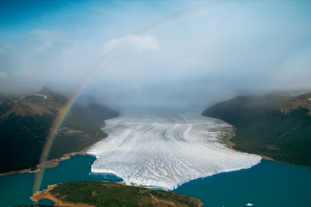 patagonie castor