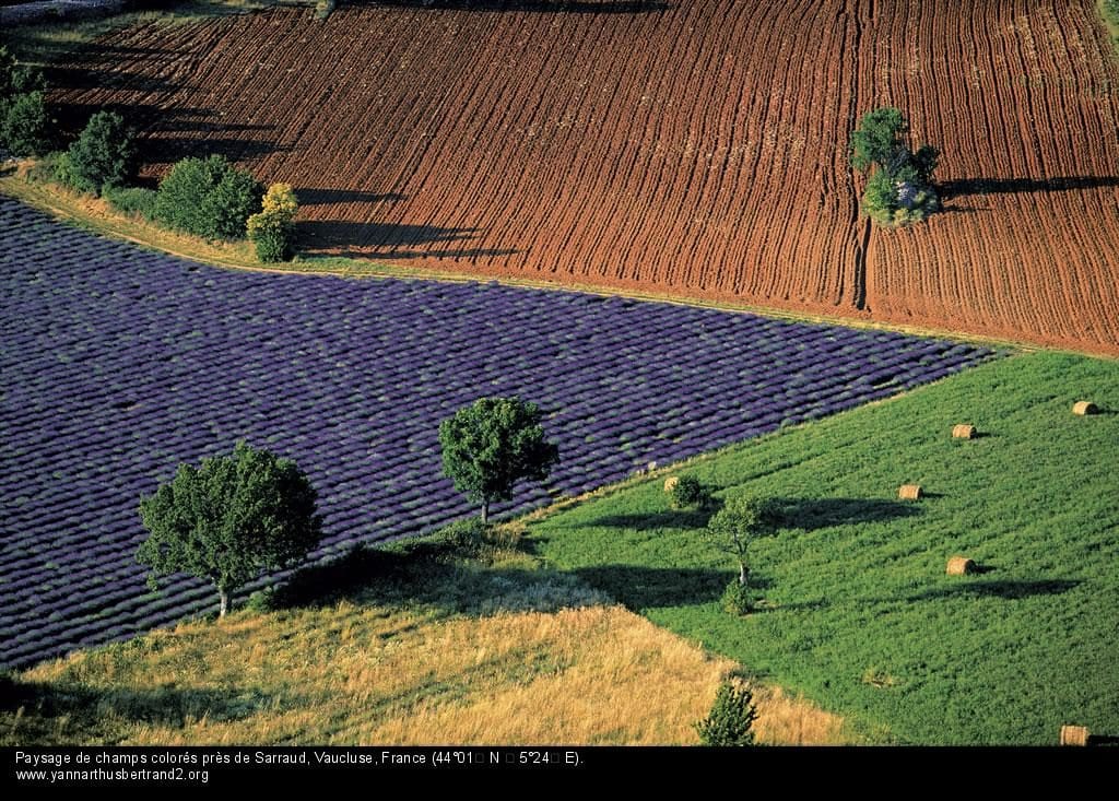 ©Yann Arthus-Bertrand