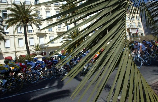 nice palmiers