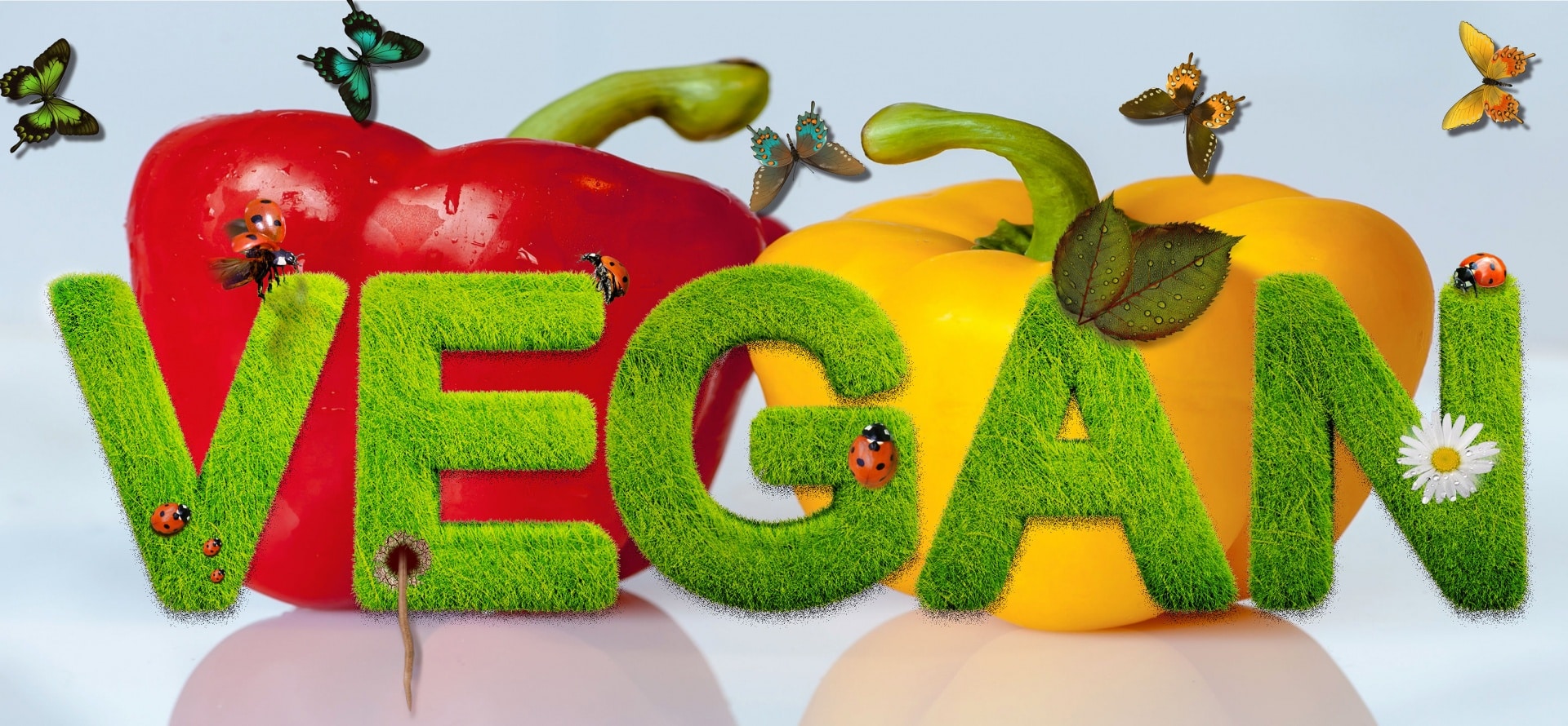 Et si tout le monde devenait vegan ? Magazine Info