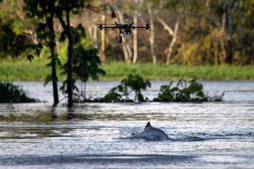 drone dauphin