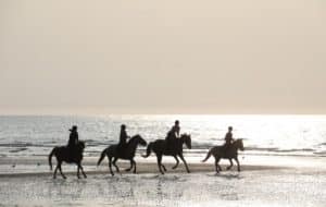 cheval loisir Jean-Pierre Digard