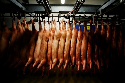 réduire la consommation de viande