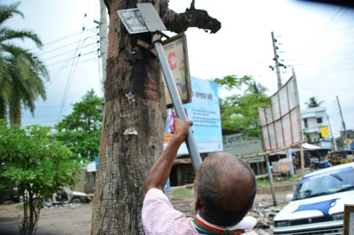 bangladesh arbre sauver arbre