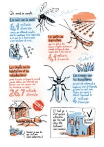 Extrait de la bande dessinée "La Guerre des fourmis" de Franck Courchamp et Mathieu Ughetti. © Mathieu Ughetti