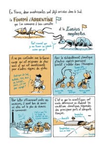 Extrait de la bande dessinée "La Guerre des fourmis" de Franck Courchamp et Mathieu Ughetti. © Mathieu Ughetti