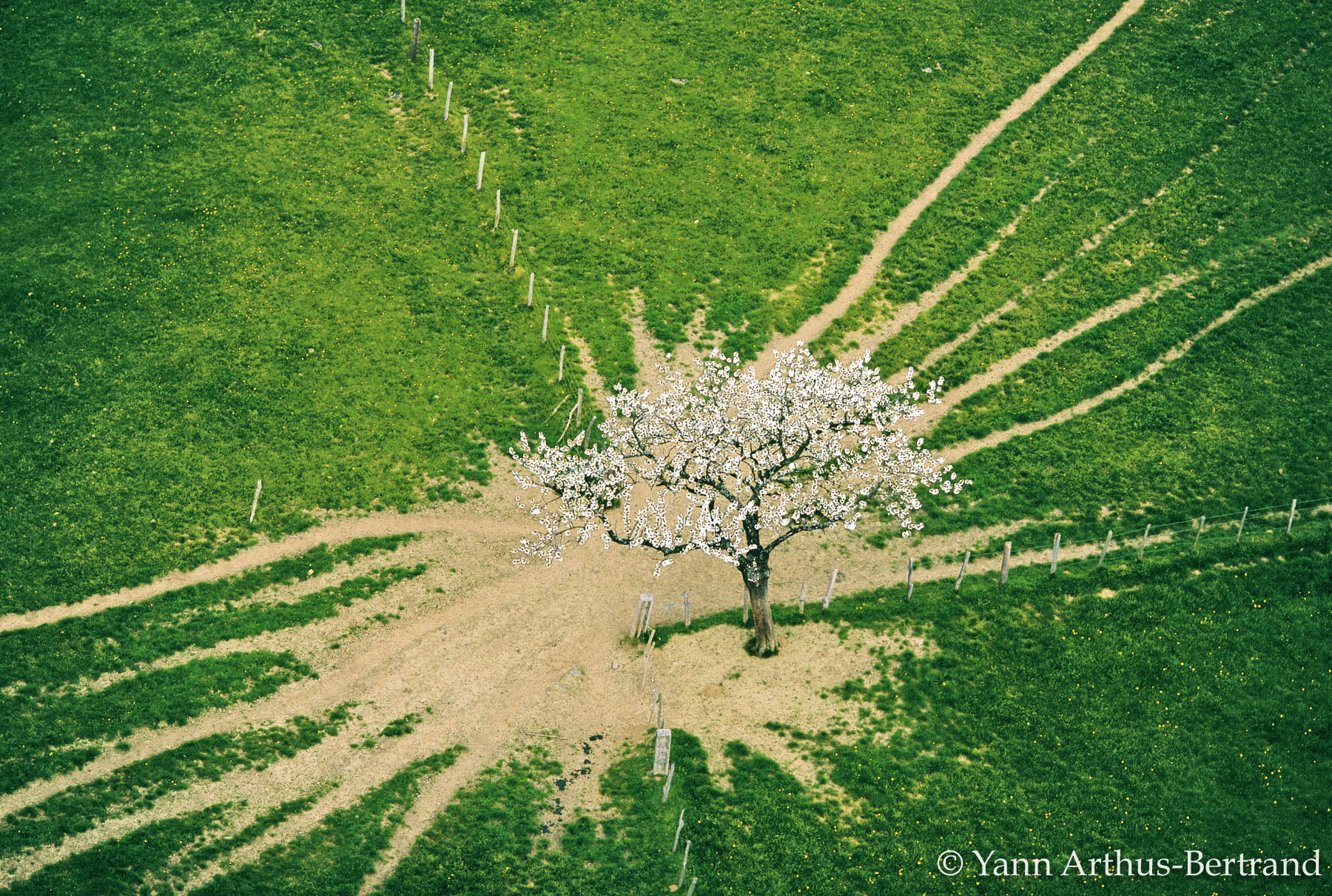 Le « Printemps silencieux » mag'