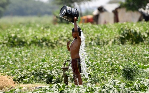 La chaleur extrême au Bihar, dans le nord de l'Inde, a fait 78 morts au cours des 48 dernières heures, selon un nouveau bilan © AFP/Archives Money SHARMA