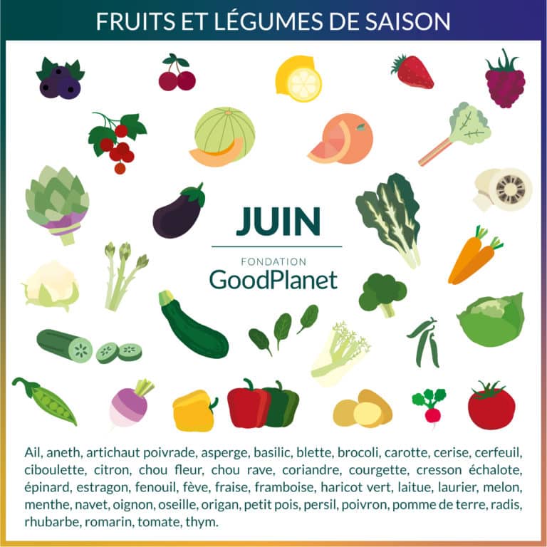 Fruits et légumes du mois de Juin mag'