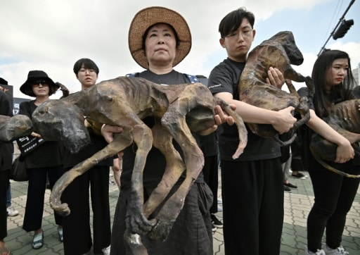 Des militants de la cause animale manifestent contre la consommation de viande canine en arborant des figurines représentant des chiens, à Séoul le 12 juillet 2019 © AFP Jung Yeon-je