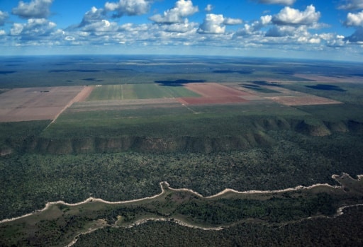 Vue aérienne, le 29 mai 2019, de la savane du Cerrado entourant des champs agricoles à Formosa do Rio Preto, à l'ouest de l'Etat de Bahia. © AFP NELSON ALMEIDA
