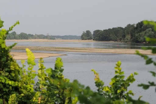 Le bas niveau de la Loire est inédit à cette période de l'année © AFP GUILLAUME SOUVANT