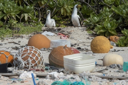 Des déchets sur une plage de l'île Henderson, dans le Pacifique, le 10 juin 2019 © STUFF/AFP/Archives Iain McGregor