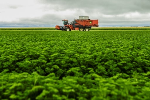 Les aides publiques à l'agriculture dans tous les pays du monde devraient être réorientées vers la défense du climat, de l'environnement ou la lutte contre le gaspillage, recommande l'OCDE © AFP/Archives ALAIN JOCARD
