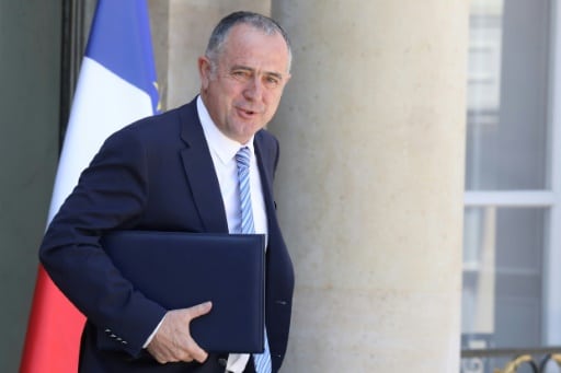 Didier Guillaume, le 3 juillet 2019 à Paris © AFP/Archives ludovic MARIN