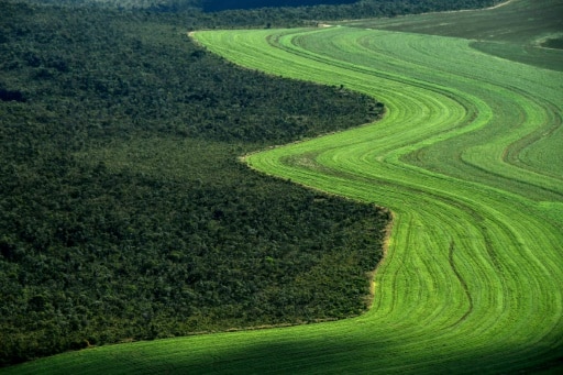 Vue aérienne de champs cultivés à la lisière de la savane Cerrado, le 14 juin 2019 à Formosa do Rio Preto, au Brésil © AFP/Archives NELSON ALMEIDA