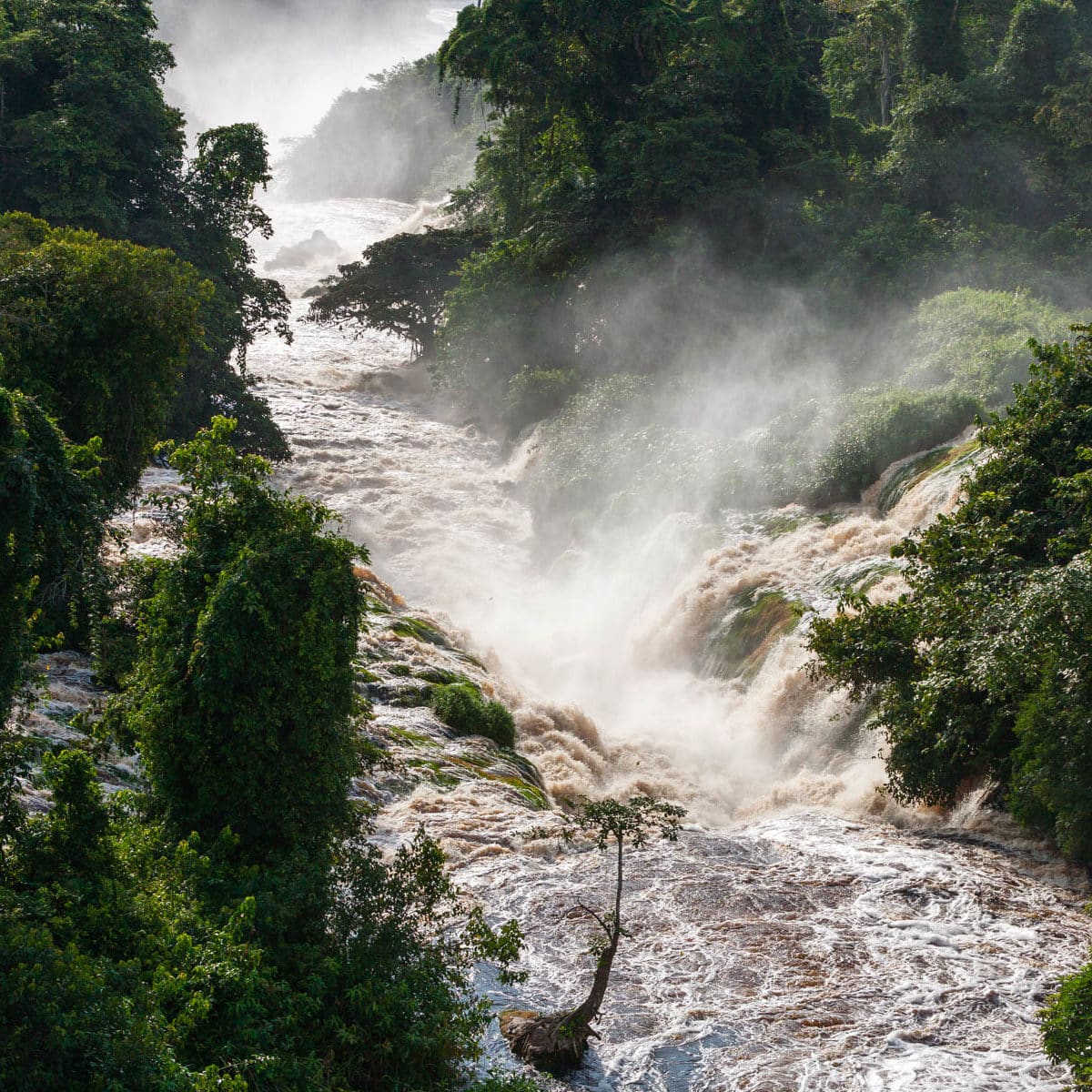 Parc national de l’Ivindo, province de l’Ogooué-Ivindo, Gabon. (0°52’ N - 13°10’ E)