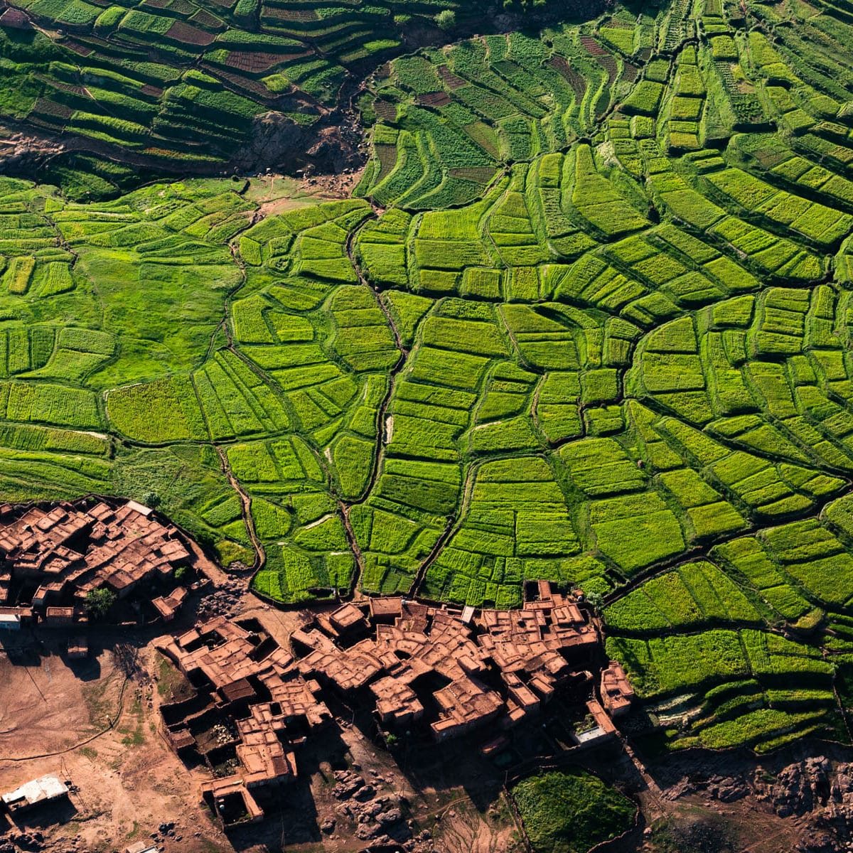 agroecologie paysanne agro-écologie diplime undiversaite civilisation Iharayn, région Marrakech-Safi, Maroc (31°22' N - 7°33' O)