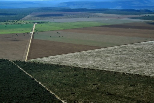 Le secteur agricole a été responsable à lui seul de plus des deux tiers (71%) des émissions de CO2 du Brésil en 2017 © AFP/Archives NELSON ALMEIDA