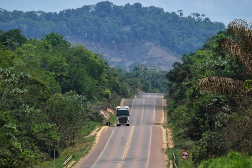amazonie route deforestation destruction fragmentation