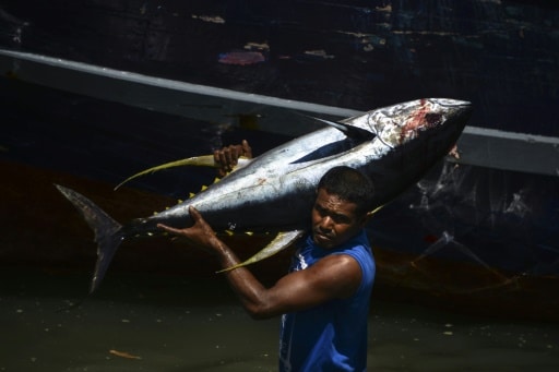 pêcheur indonésien