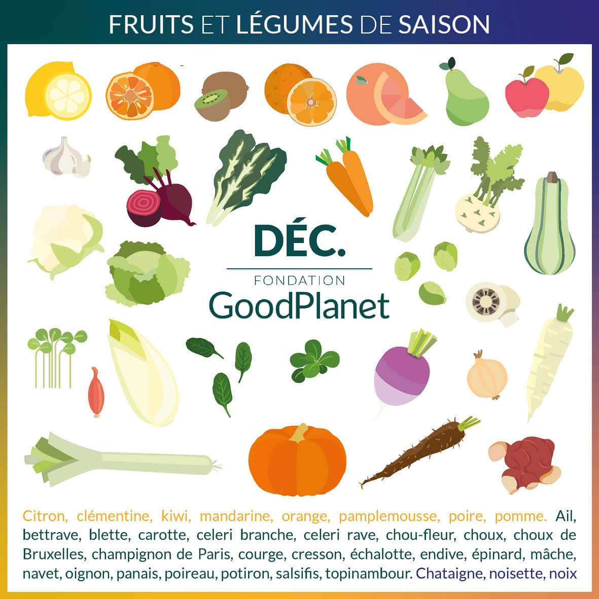 Illustration fruits et légumes de saison au mois de décembre