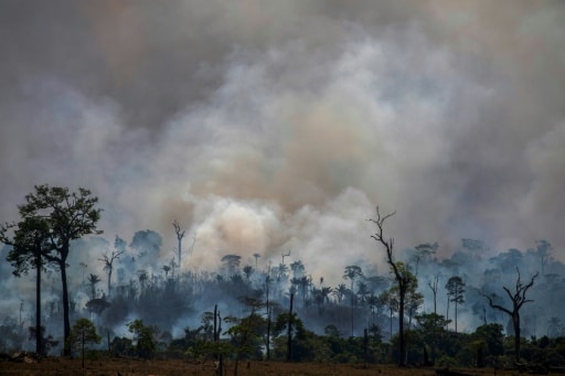 brésil deforestation amazonie reccord