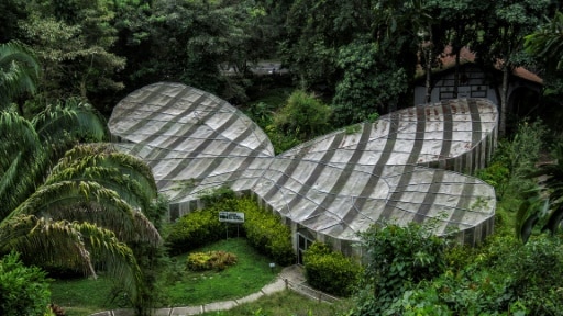 jardin botanique