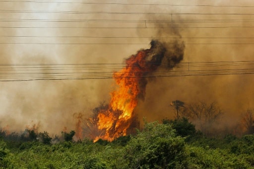 Incendie forêt amazonienne