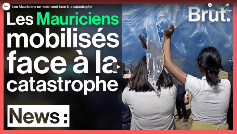 Ile Maurice marée noire