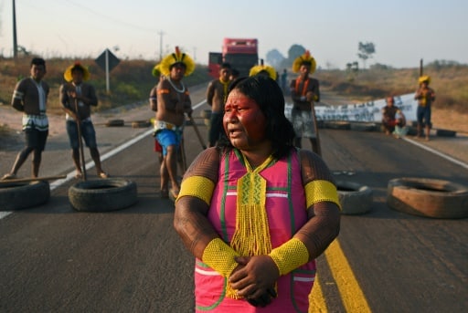 indigene bresil covid manifestation