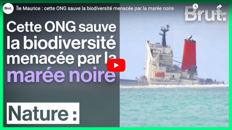 île Maurice marée noire