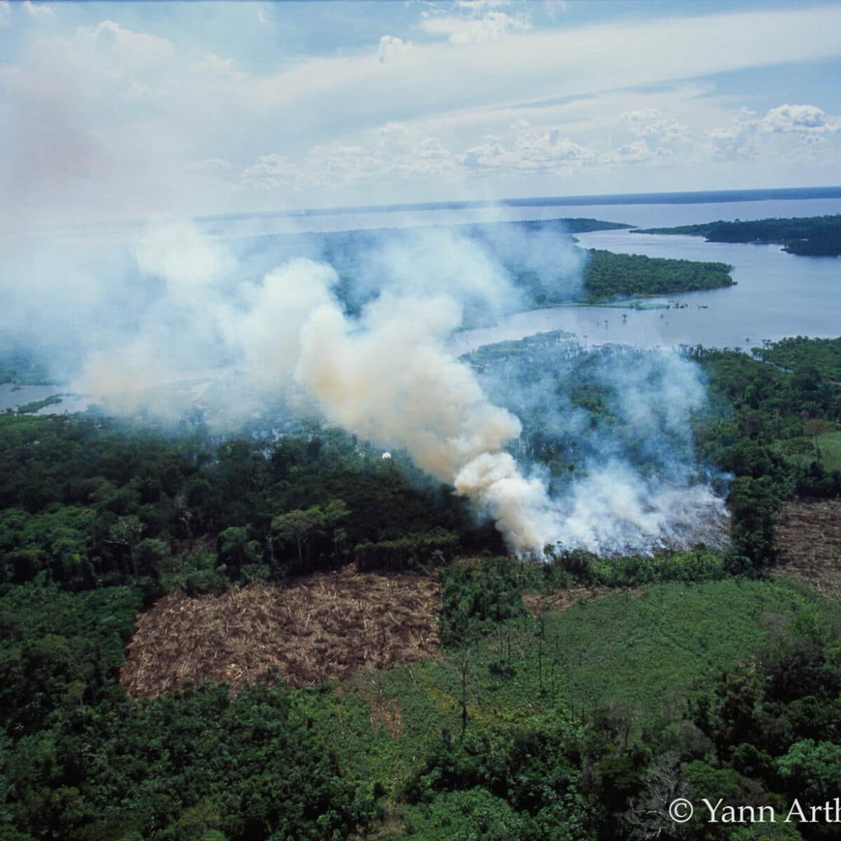 incendie Amazonie