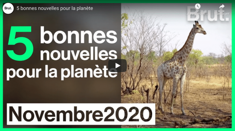 5 bonnes nouvelles pour la planète Brut