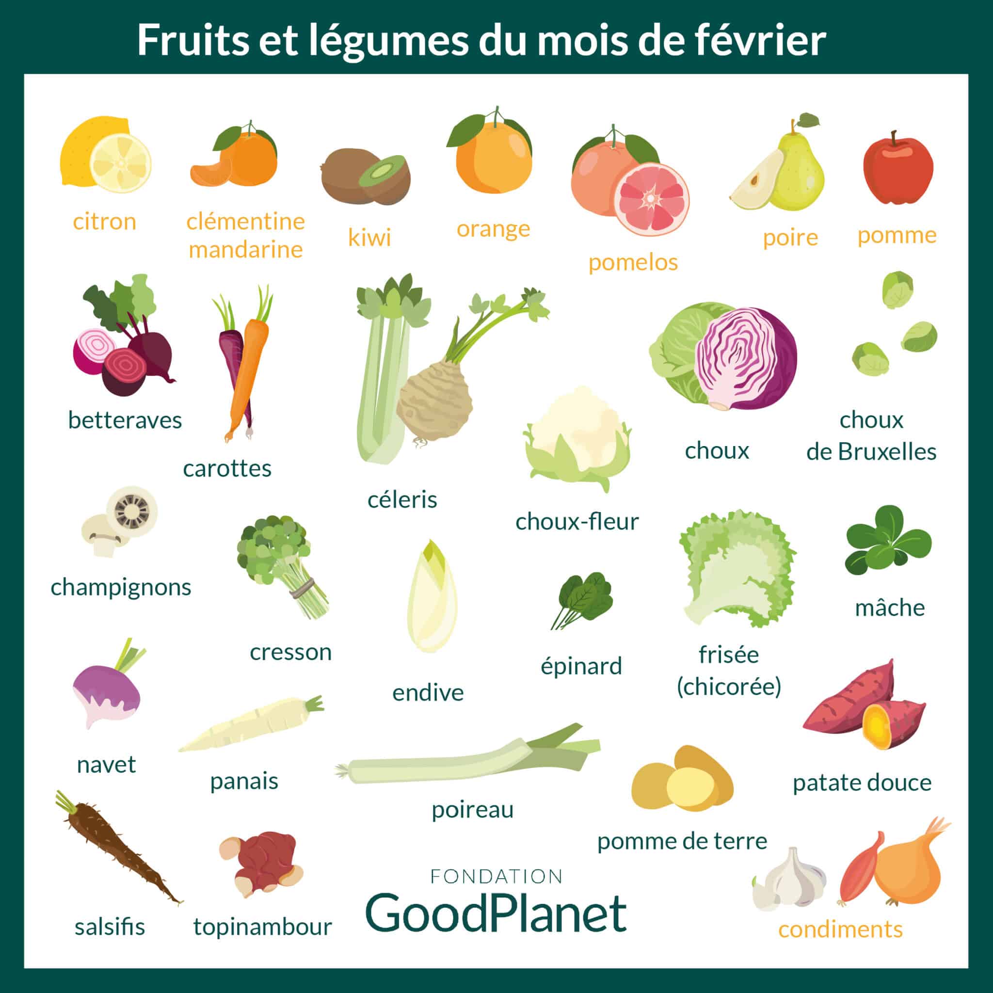 Fruits & lÃ©gumes de fÃ©vrier - GoodPlanet mag'