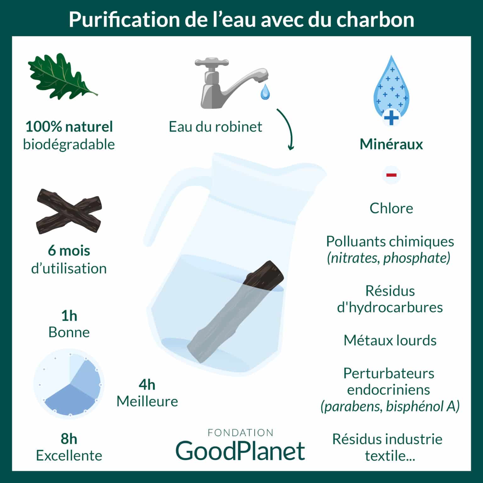 Purifiez votre eau avec du charbon mag' — free download