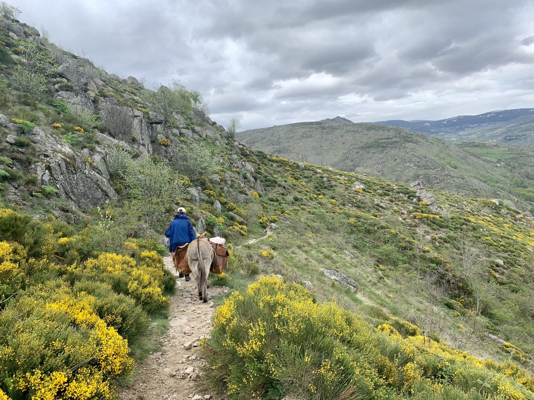 Avec un âne dans les Cévennes © Xin et Julien Leprovost