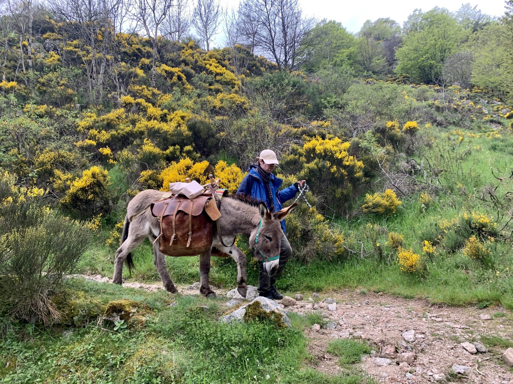 voyage randonnée ân e cevennes