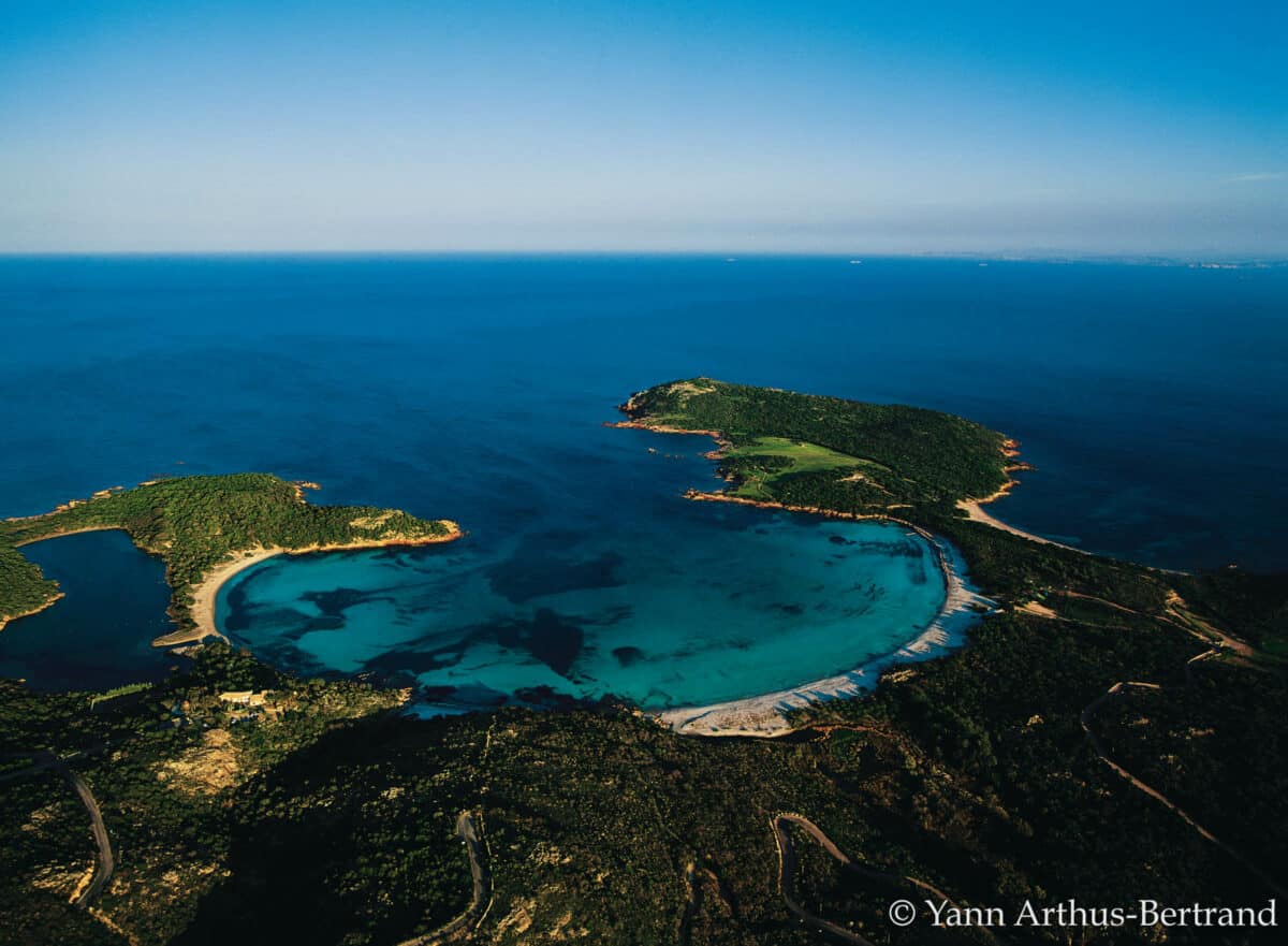mer Méditerranée Alexandre Meinesz protéger la biodiversité marine aires mariens protégées