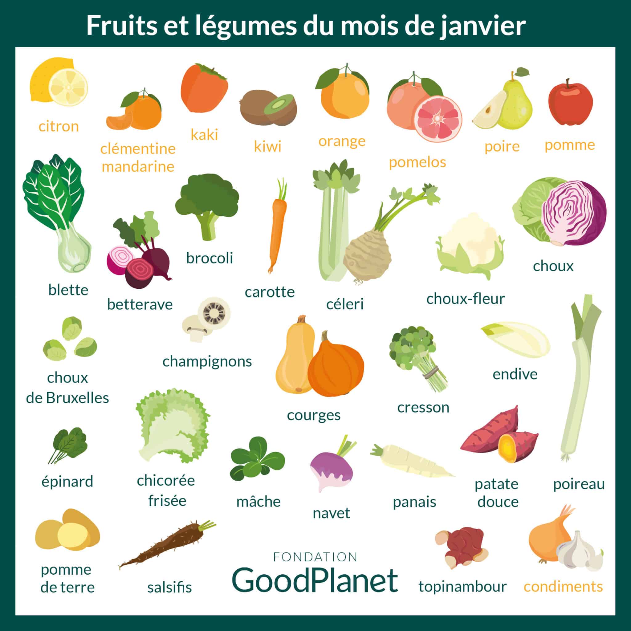 Les fruits et légumes de janvier sont là ! mag'