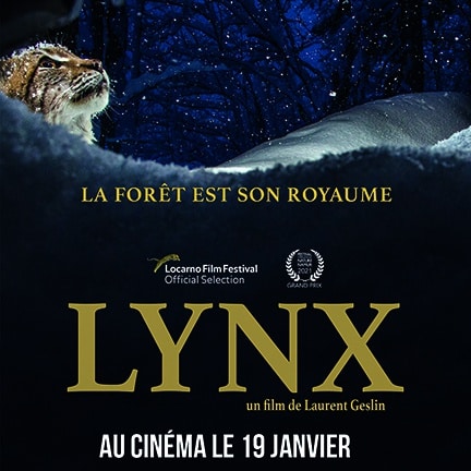 Film documentaire : LYNX - GoodPlanet mag'