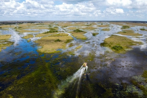 Everglades Floride Biden